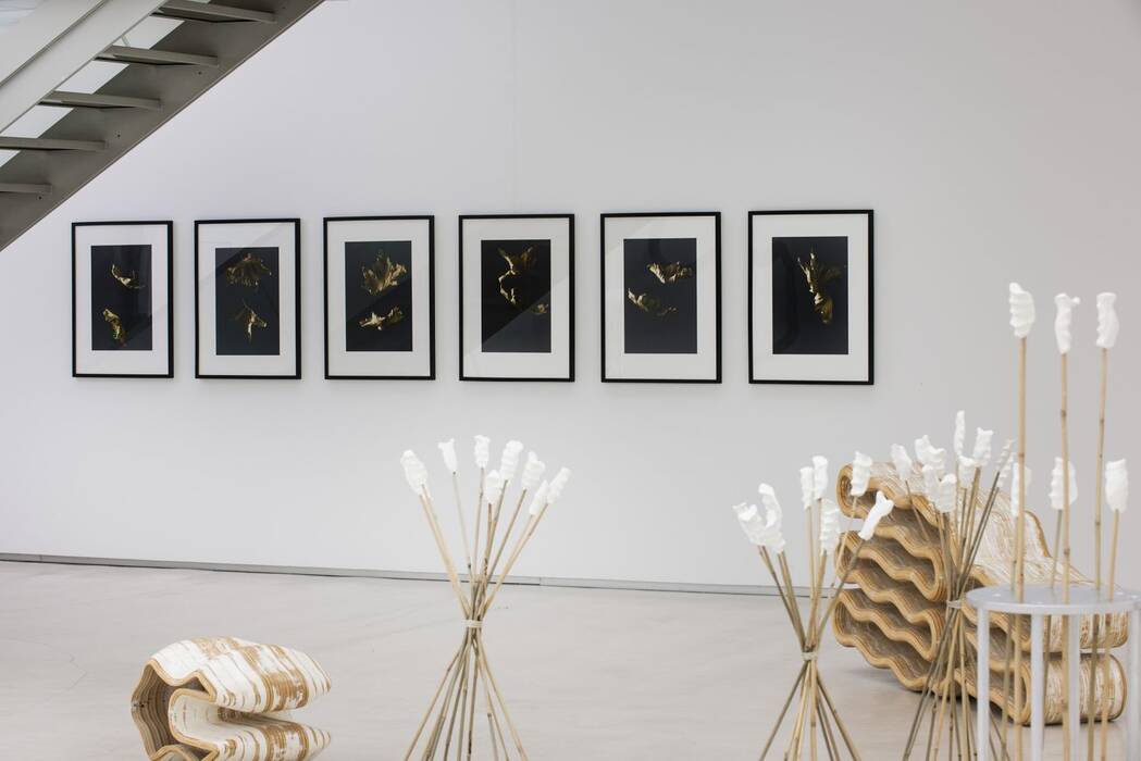 Uwe Seyls Serie "Feuilles mortes" aus sechs Fotografien zeigen vertrocknete Laubblätter beim Fallen. Der dunkle, unklare Hintergrund isoliert die Blätter aus ihrer Umgebung der Gestalt. Im Vordergrund stehen Kornähren-Objekte.