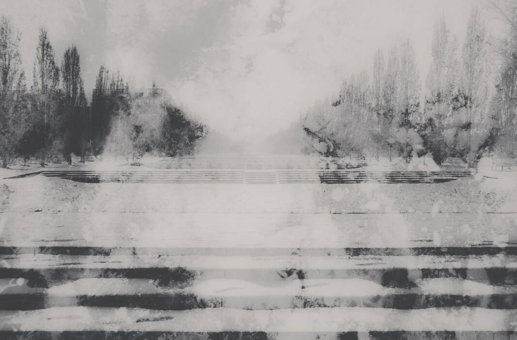 aus der Serie "in Reichweite", No.22, 2017, von Gert Wiedmaier. Bäume umsäumen breite Treppenstufen wie eine Allee. 