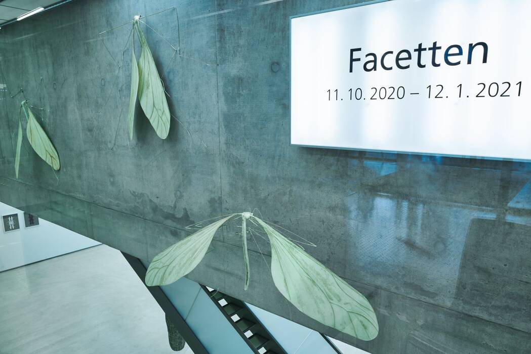 Lichtkasten mit Titel der Ausstellung und daneben "Drei Schnaken" von Lili Fischer.