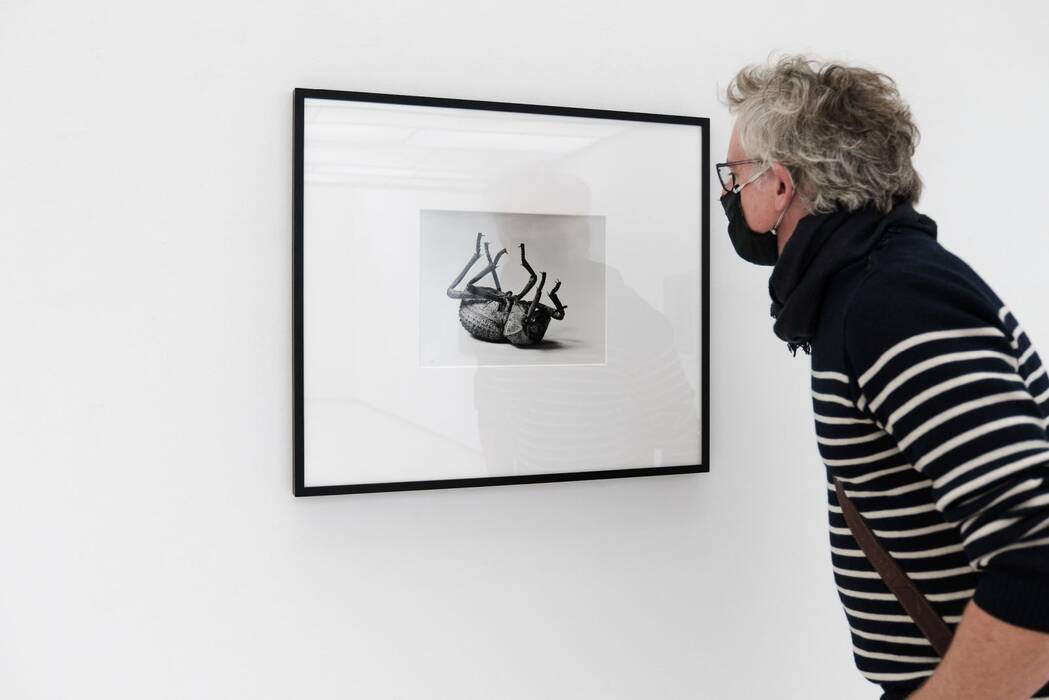 Ausstellungsbesucher vor Christopher Williams "Tenebrionidae, Asbolus verrucosus, Death Feigning Beetle, Silver Lake, California", October 1, 1996 (Nr. 1)