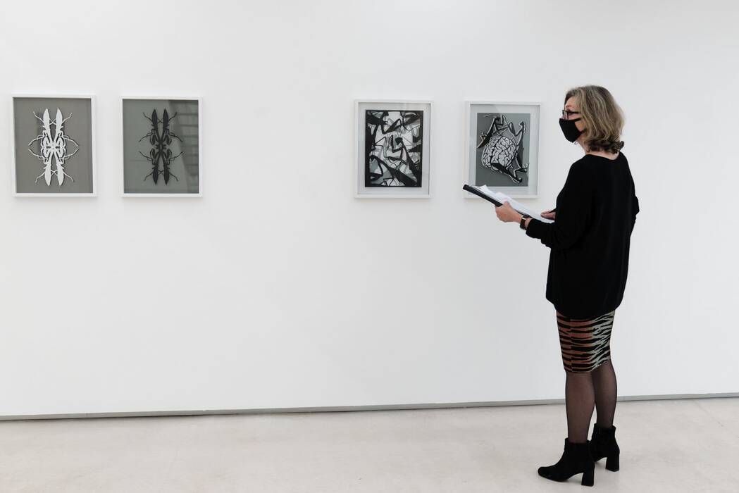 Ausstellungsbesucherin vor den Messerschnitten von Beate Diao. 