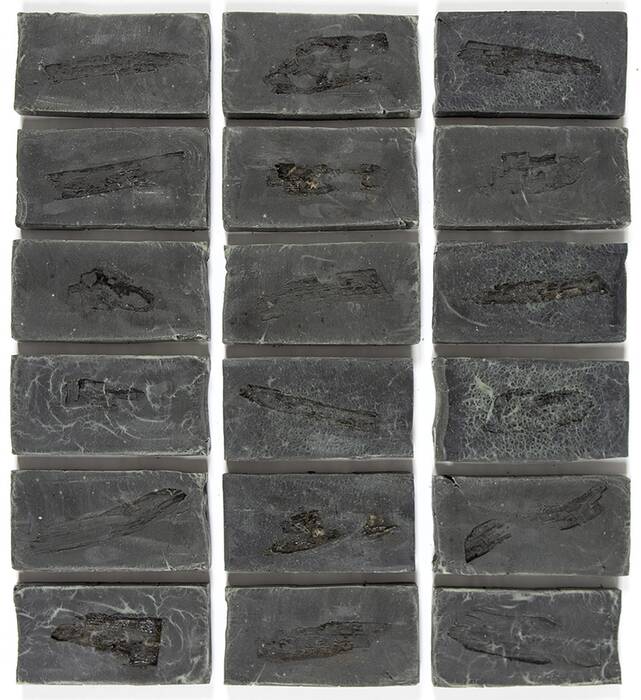 Installation "Ashes to Ashes" von Jeewi Lee. Schwarze Tafeln (6x3) aus Aschelauge mit einem Abdruck der geschundenen Bäume.