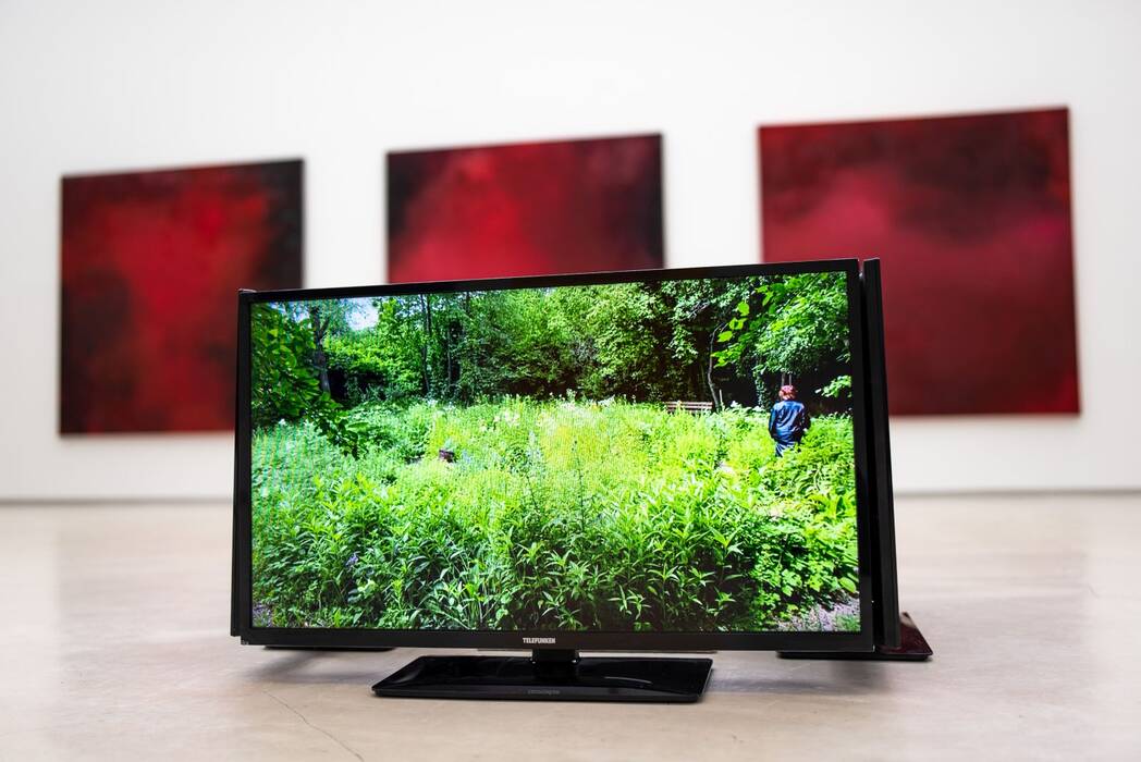 Ein Bildschirm zeigt eine grüne Wiese mit Bäumen im Hintergrund. Rechts steht eine Person in Blau mit Hut in hohem Gras. Hintergrund: Drei rote Quadrate. Ausstellung "Thinking About Video Art - Kunst am Wegesrand" von Anette C. Halm.