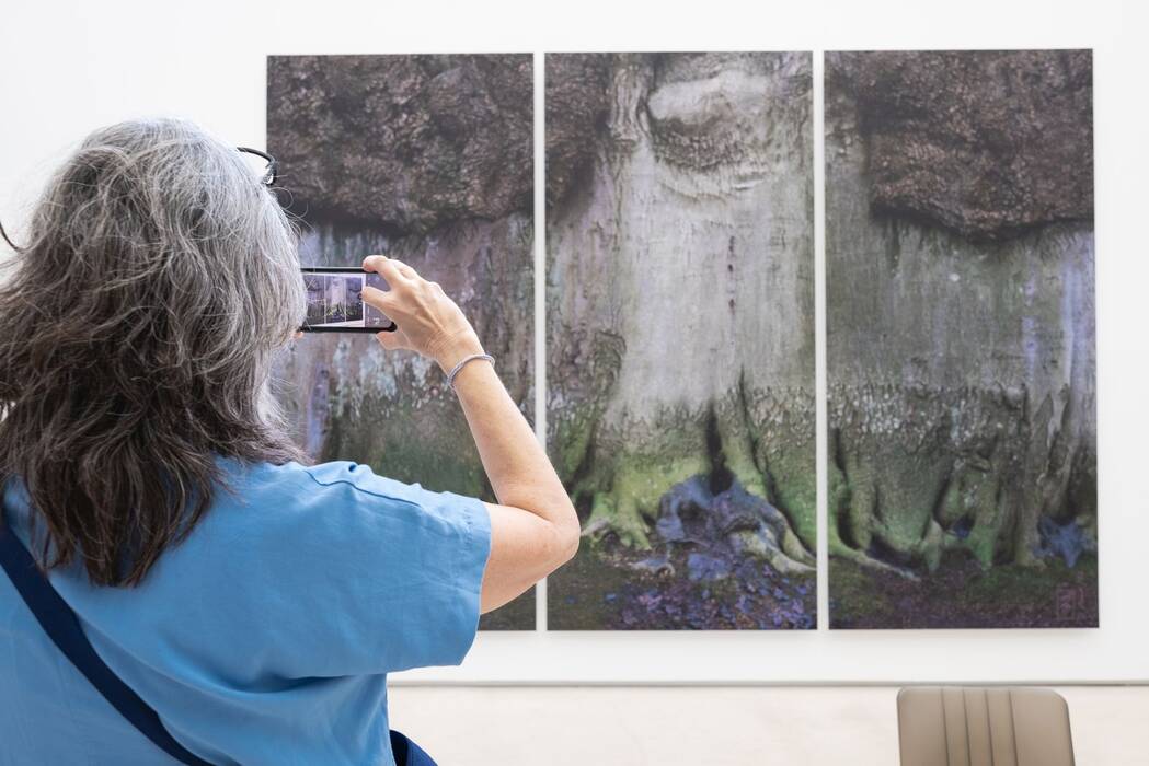 Eine Besucherin fotografiert ein Baumstamm-Triptychon.