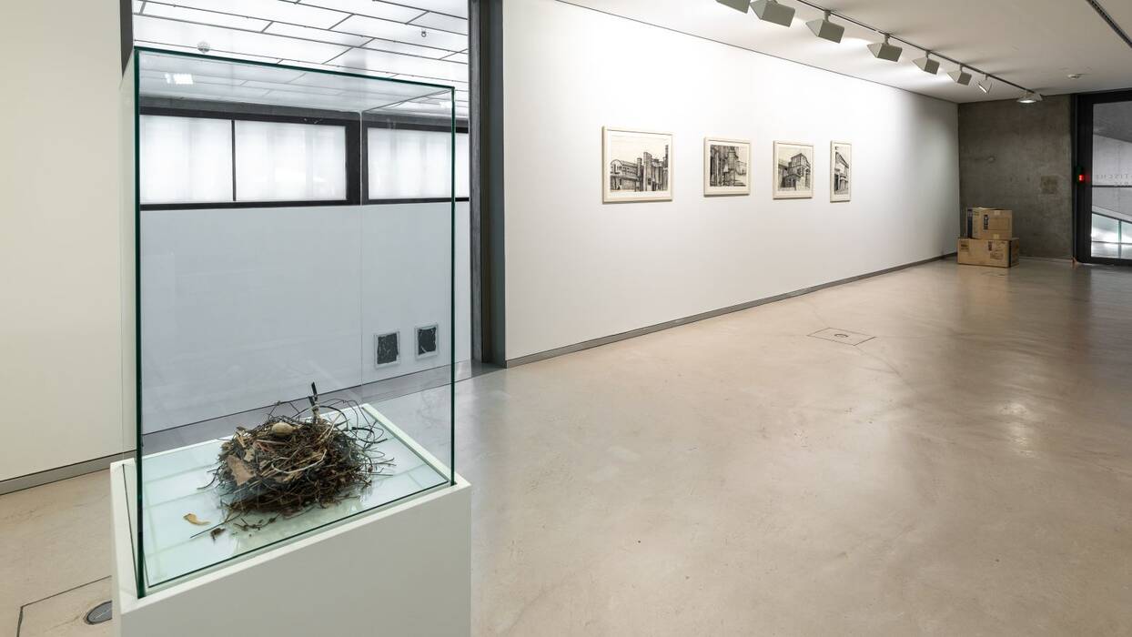 Ein Vogelnest aus Kabelbindern, Draht und Schrauben befindet sich im Schaukasten und vier architektonische Bleistiftzeichnungen an der weißen Galeriewand. 