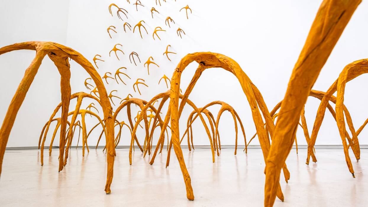 Ausstellungsansicht der Ausstellung "Luftwurzeln und Blütentanz" von Hannelore Weitbrecht. Ansicht des Werkes Invasion, 2003 - 2009, mehrteilige Installation aus Papier, Draht und Farbe