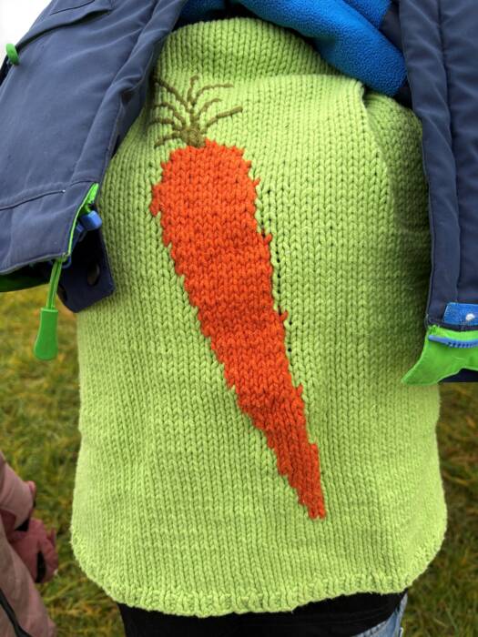 Gestrickte Möhre auf Kinderpullover