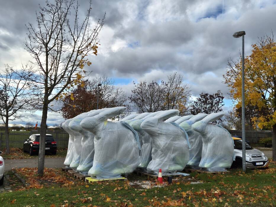 Rückkehr der verpackten Hasen nach der Reparatur